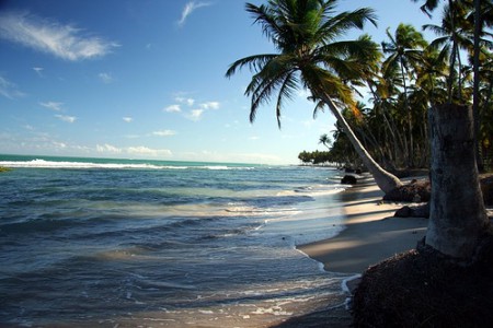 Praia dos Carneiros de carro fechado ou buggy